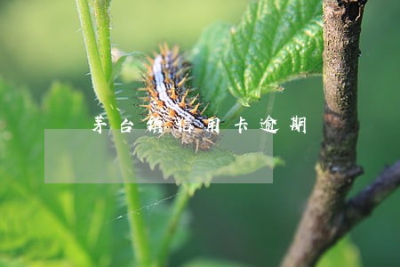 茅台镇信用卡逾期