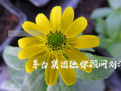 茅台集团法律顾问刘汉林