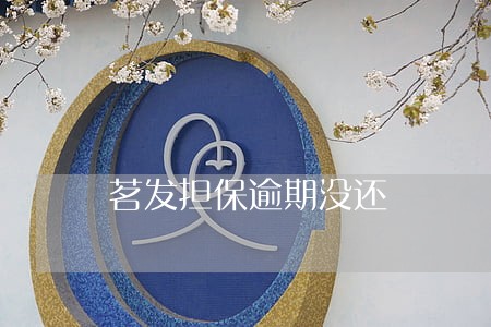 茗发担保逾期没还
