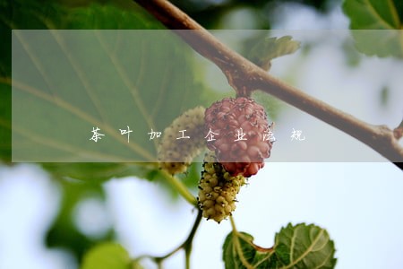 茶叶加工企业法规 茶叶加工企业法规