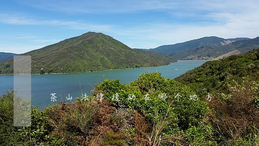 茶山法律援助在哪个地方