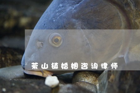 茶山镇婚姻咨询律师 茶山镇婚姻咨询律师