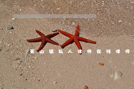 茶山镇私人律师在线律师 茶山镇私人律师在线律师