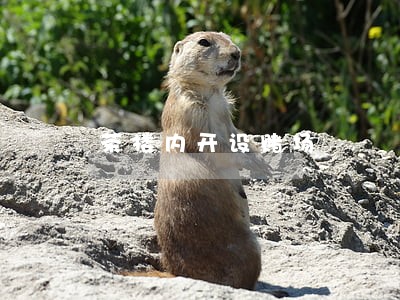 茶楼内开设赌场 茶楼内开设赌场