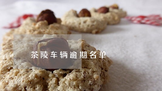 茶陵车辆逾期名单 茶陵车辆逾期名单