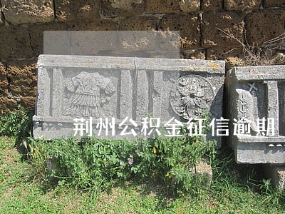 荆州公积金征信逾期