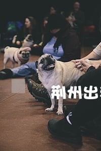 荆州出租车司机抽烟违法吗 荆州出租车司机抽烟违法吗
