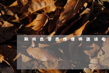 荆州合资合作律师咨询电话