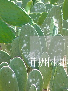 荆州土地合同纠纷律师 荆州土地合同纠纷律师