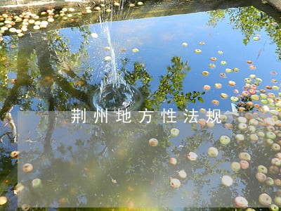 荆州地方性法规