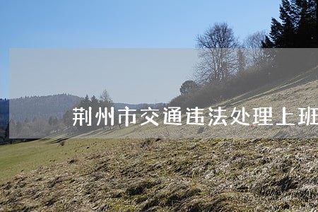 荆州市交通违法处理上班时间 荆州市交通违法处理上班时间