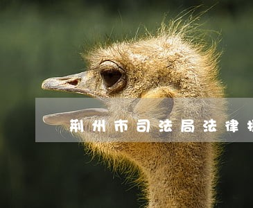 荆州市司法局法律援助中心