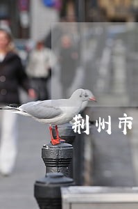 荆州市开展违法建设 荆州市开展违法建设