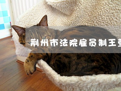 荆州市法院雇员制王莹