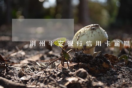 荆州平安银行信用卡逾期上门