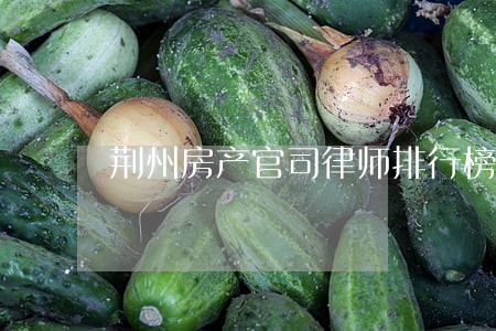 荆州房产官司律师排行榜 荆州房产官司律师排行榜