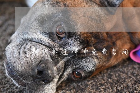 荆州拆迁律师免费咨询 荆州拆迁律师免费咨询