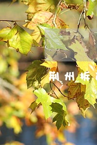 荆州拆迁律师咨询免费 荆州拆迁律师咨询免费