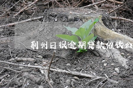 荆州日报逾期贷款催收公告 荆州日报逾期贷款催收公告