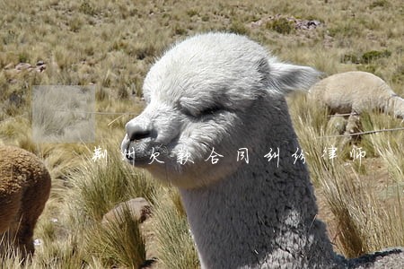 荆州欠款合同纠纷律师 荆州欠款合同纠纷律师
