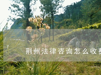 荆州法律咨询怎么收费 荆州法律咨询怎么收费