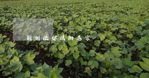 荆州法律援助卷宗