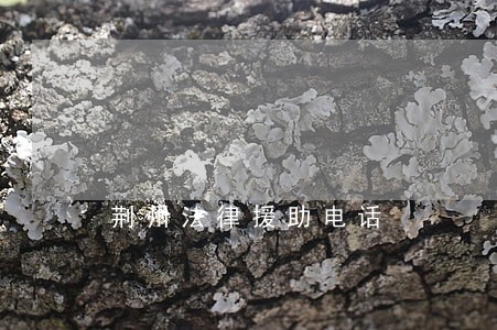 荆州法律援助电话 荆州法律援助电话