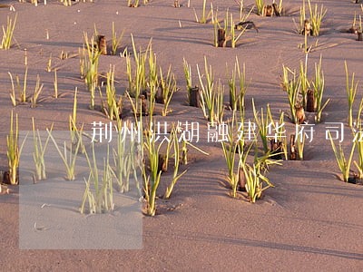 荆州洪湖融建华府司法拍卖 荆州洪湖融建华府司法拍卖