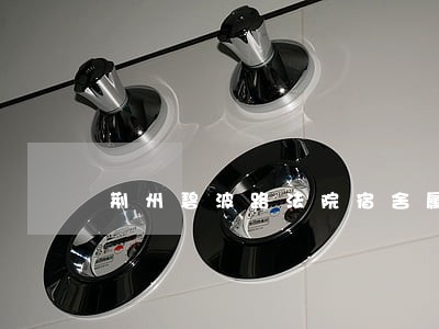 荆州碧波路法院宿舍属于洪垸社区