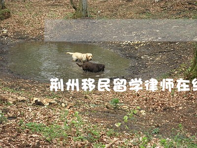 荆州移民留学律师在线免费咨询 荆州移民留学律师在线免费咨询