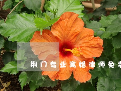 荆门专业离婚律师免费在线咨询 荆门专业离婚律师免费在线咨询