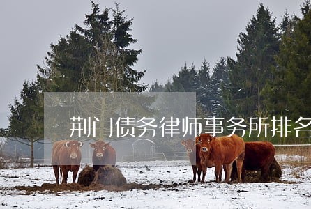 荆门债务律师事务所排名 荆门债务律师事务所排名