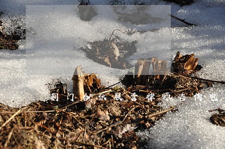 荆门合伙联营律师咨询电话 荆门合伙联营律师咨询电话