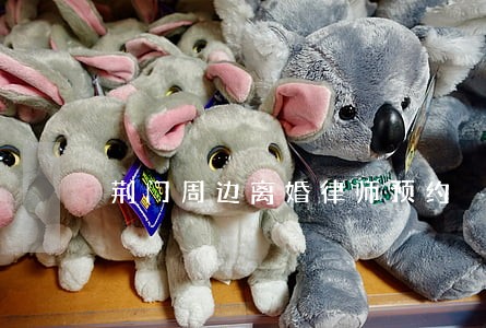 荆门周边离婚律师预约