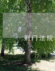 荆门法院许道恒简历 荆门法院许道恒简历