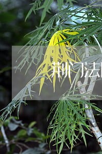 荆门法院领导简历