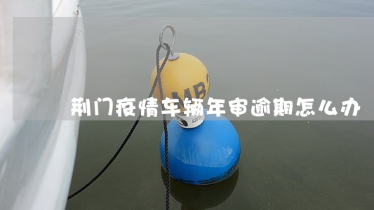 荆门疫情车辆年审逾期怎么办 荆门疫情车辆年审逾期怎么办