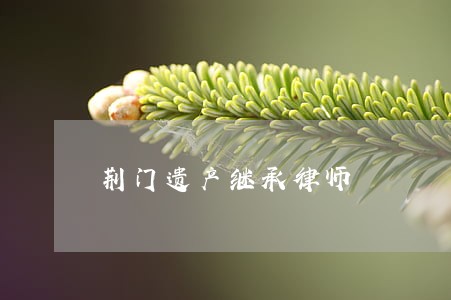 荆门遗产继承律师 荆门遗产继承律师
