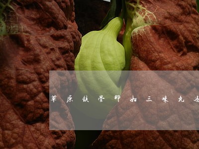 草原铁骨那如三味丸违法广告
