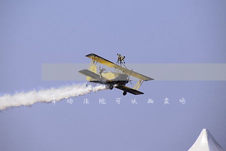 草场法院可以拍卖吗 草场法院可以拍卖吗