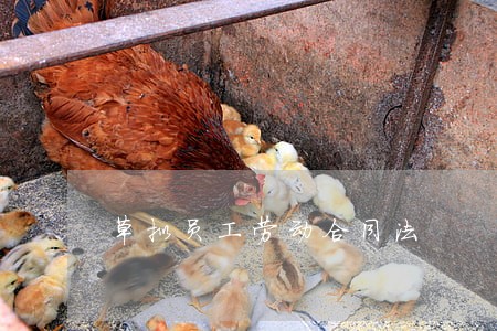 草拟员工劳动合同法 草拟员工劳动合同法