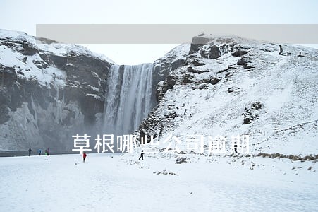 草根哪些公司逾期