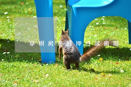 草根房产抵押贷款逾期