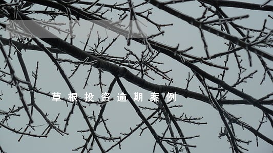草根投资逾期案例 草根投资逾期案例
