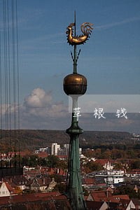 草根钱包逾期 草根钱包逾期