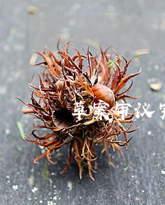 草案审议完多久立法 草案审议完多久立法