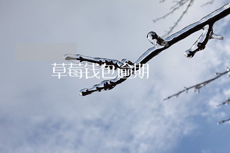 草莓钱包逾期 草莓钱包逾期
