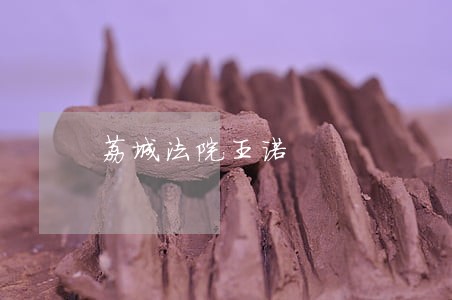 荔城法院王诺 荔城法院王诺
