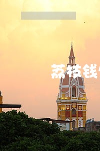 荔枝钱包有逾期的吗