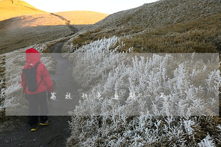 荔枝钱包逾期一天 荔枝钱包逾期一天